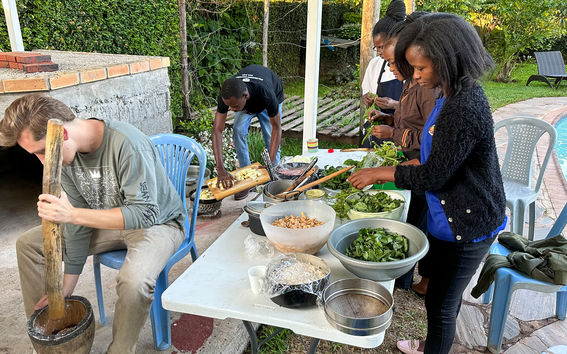 Production of affordable and nutritious food in Zambia