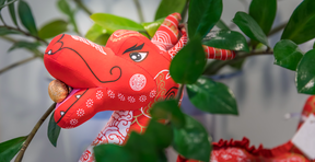 Picture of a fluffy dragon ©CEAS.